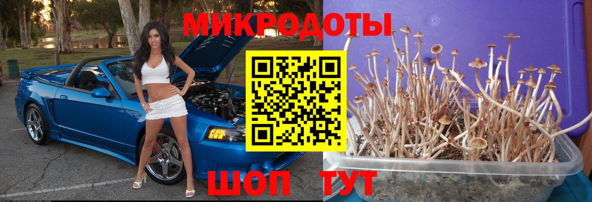 Галлюциногенные грибы мицелий  Вход с VPN  Галлюциногенные грибы Psilocybine cubensis  Кудымкар 